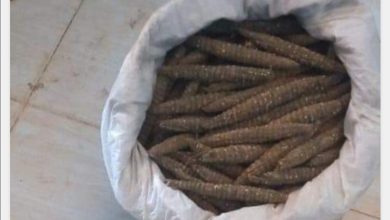 ضبط “آيس” و”حشيش إثيوبي” بالقضارف 5 المسار نيوز ضبط “آيس” و”حشيش إثيوبي” بالقضارف