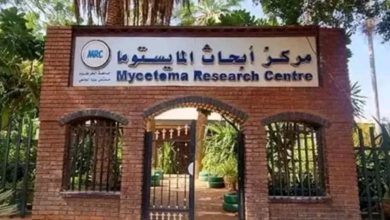تأسيس مركز للمايستوما في ولاية سنار 2 المسار نيوز تأسيس مركز للمايستوما في ولاية سنار