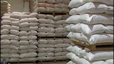 ضوابط جديدة لاستيراد القمح والدقيق 3 المسار نيوز ضوابط جديدة لاستيراد القمح والدقيق