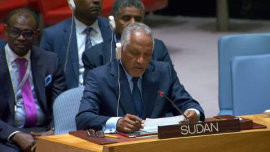 إعفاء دفع الله الحاج من منصب وكيل الخارجية 5 المسار نيوز إعفاء دفع الله الحاج من منصب وكيل الخارجية