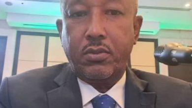 المسار نيوز وزراء الشؤون الاجتماعية العرب يتعرفون على حجم المؤامرة على السودان
