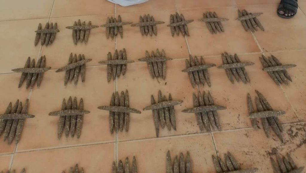 ادارة مكافحة المخدرات فرعية كرري تتمكن من ضبط (2) من المتهمين بحوزتهم حشيش 1 المسار نيوز ادارة مكافحة المخدرات فرعية كرري تتمكن من ضبط (2) من المتهمين بحوزتهم حشيش