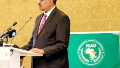 إيقاد تؤكد حرصها على السلام في السودان 3 المسار نيوز إيقاد تؤكد حرصها على السلام في السودان