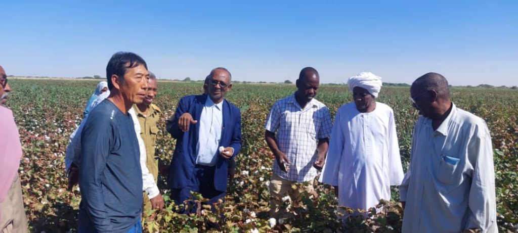 والي نهر بالانابه يتفقد عدد من المشروعات الزراعيه بمحلية بربر ويؤكد بان الزراعه هي المخرج الحقيقي للاقتصاد 1 المسار نيوز والي نهر بالانابه يتفقد عدد من المشروعات الزراعيه بمحلية بربر ويؤكد بان الزراعه هي المخرج الحقيقي للاقتصاد