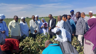والي نهر النيل بالانابه يشكر اليابان والصين للدعم الانساني والانتاجي ويؤكد بان نهر النيل قادره علي الخروج باقتصاد البلاد لبر الامان 7 المسار نيوز والي نهر النيل بالانابه يشكر اليابان والصين للدعم الانساني والانتاجي ويؤكد بان نهر النيل قادره علي الخروج باقتصاد البلاد لبر الامان