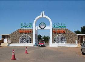 تفاصيل جديدة حول نهب جامعة الجزيرة من قبل مليشيا الدعم السريع 3 المسار نيوز تفاصيل جديدة حول نهب جامعة الجزيرة من قبل مليشيا الدعم السريع