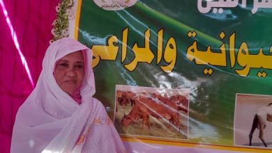وزيره الثروه الحيوانية بنهرالنيل تفك اللجام لتشجيع إنتاج اللحوم والدواجن لصغار المنتجين بعد الحرب 4 المسار نيوز وزيره الثروه الحيوانية بنهرالنيل تفك اللجام لتشجيع إنتاج اللحوم والدواجن لصغار المنتجين بعد الحرب
