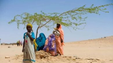 لاجئون في شرق تشاد: فررنا من النار إلى النار جراء هجوم قوات الدعم السريع علينا في سربا: 3 المسار نيوز لاجئون في شرق تشاد: فررنا من النار إلى النار جراء هجوم قوات الدعم السريع علينا في سربا: