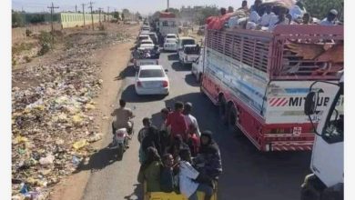 تقرير الجزيرة تنزف.. والجميع صامت : 3 المسار نيوز تقرير الجزيرة تنزف.. والجميع صامت :