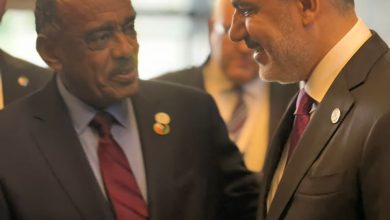 وزير الخارجية السفير على الصادق يلتقي بنظيره التركي 4 المسار نيوز وزير الخارجية السفير على الصادق يلتقي بنظيره التركي