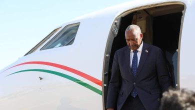 فارس حوبه ماهو الفافنوس ماهو القليد البوص ، فتشوا رفقاء دربه وأسألوهم 6 المسار نيوز فارس حوبه ماهو الفافنوس ماهو القليد البوص ، فتشوا رفقاء دربه وأسألوهم
